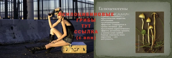 ГАЛЛЮЦИНОГЕННЫЕ ГРИБЫ Алексеевка