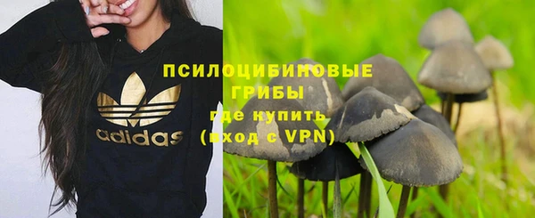 ГАЛЛЮЦИНОГЕННЫЕ ГРИБЫ Алексеевка