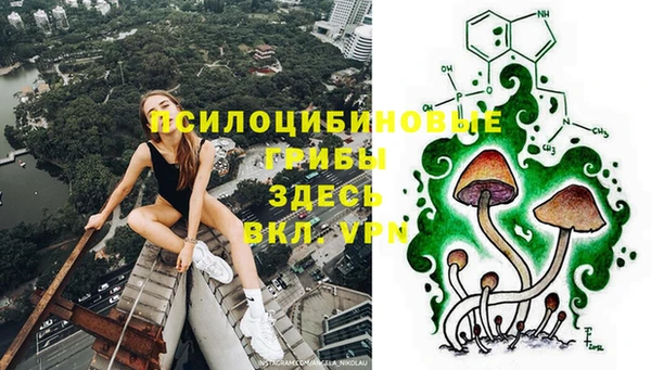 ГАЛЛЮЦИНОГЕННЫЕ ГРИБЫ Алексеевка