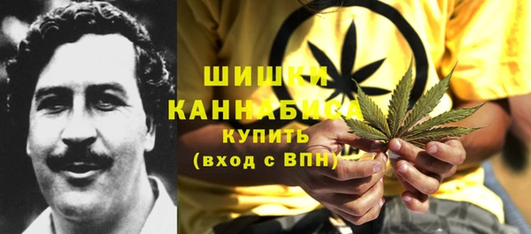 молекула духа Алзамай