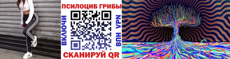 нарко площадка какой сайт  продажа наркотиков  Луга  Галлюциногенные грибы MAGIC MUSHROOMS 